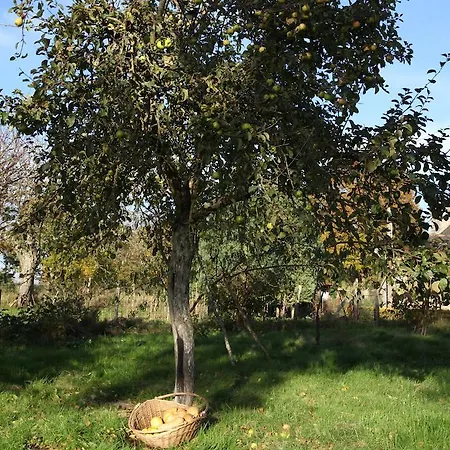 La Grange O Belles 3*