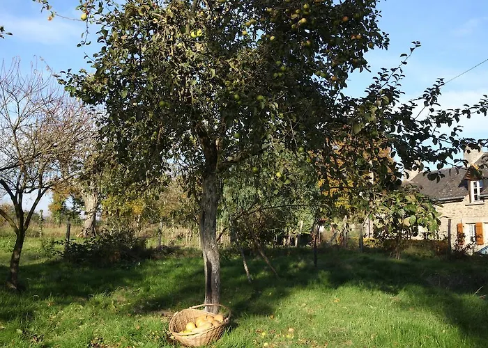 La Grange O Belles 3*